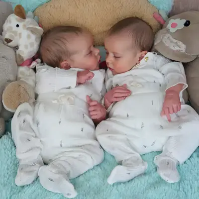 Twins 17" Reborn Baby Doll with Weighted Vinyl Body and Hand-Painted Hair